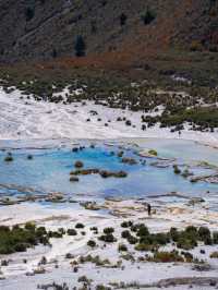 救命 川西秋日私藏秘境！99%人不知道的封神路線