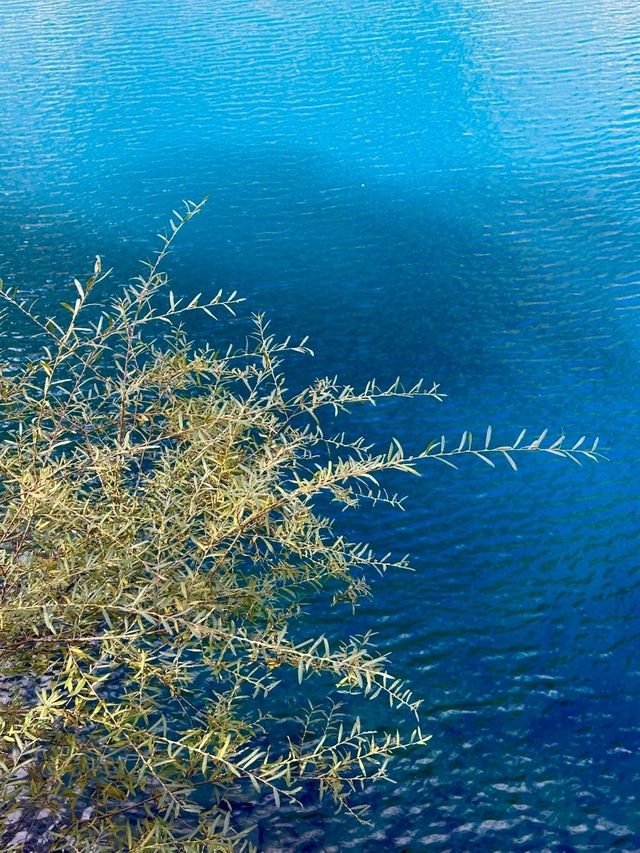 疊溪松坪溝紅葉盛宴