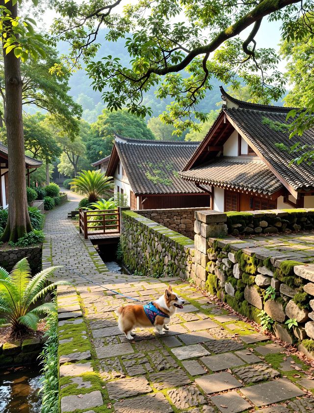 天下第一水，楠溪江歡迎你打卡