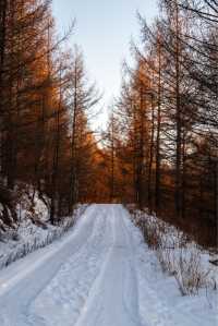 冬日阿爾山童話祕境