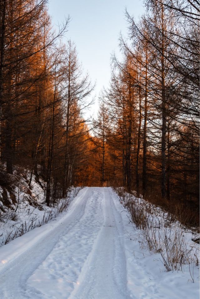 冬日阿爾山童話祕境 冬日阿爾山童話祕境