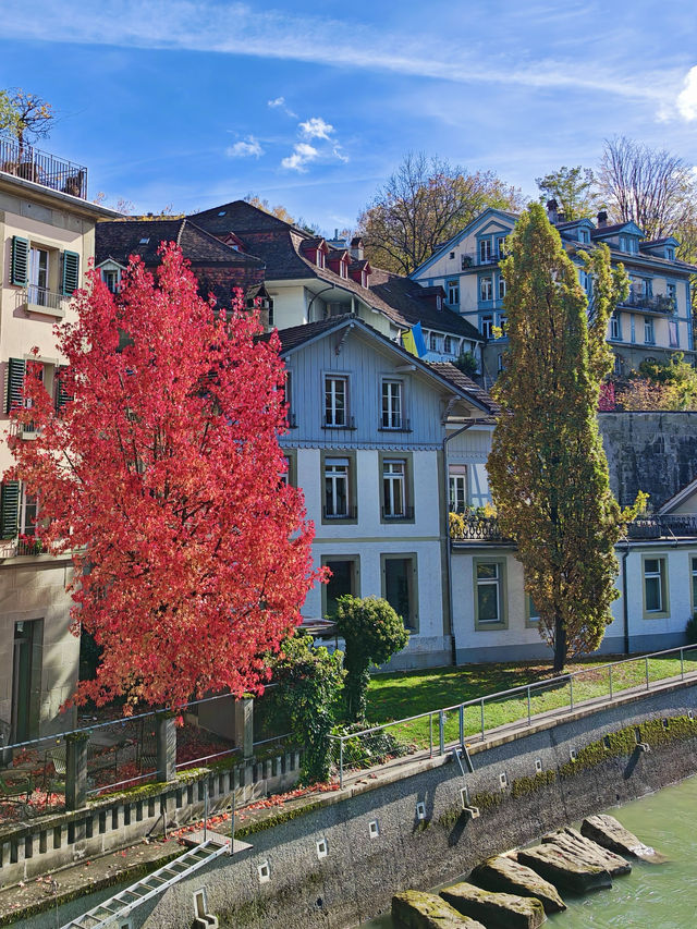 瑞士的秋自帶濾鏡|4天3晚不踩雷攻略 瑞士的秋自帶濾鏡|4天3晚不踩雷攻略