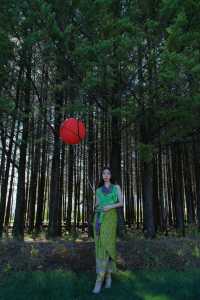 麗江秋冬必衝!阿美澤把浪漫焊在雪山