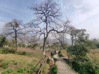 令人驚艷的賞秋之地——中國甜柿第一村