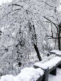 廬山第一場霧淞真的太美了