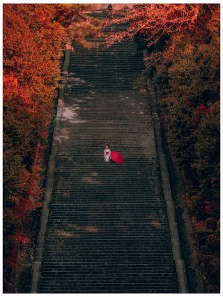 日本關西絕美秋色！這份京都&大阪賞楓攻略美到窒息！