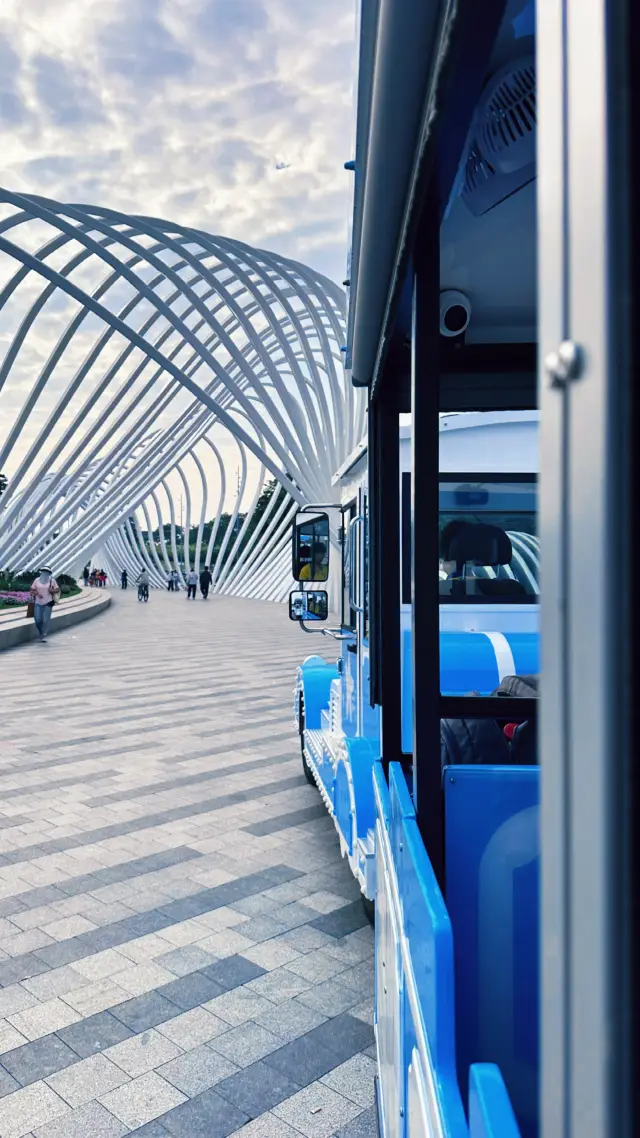 OH BAY, Shenzhen Travelogue: Ride the Mini Train to Chase Light and Shadow, Ascend the Ferris Wheel to Overlook the Bay Area