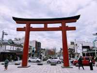 鶴岡八幡宮｜鎌倉最具代表性的神社散步路線 ⛩️🍁