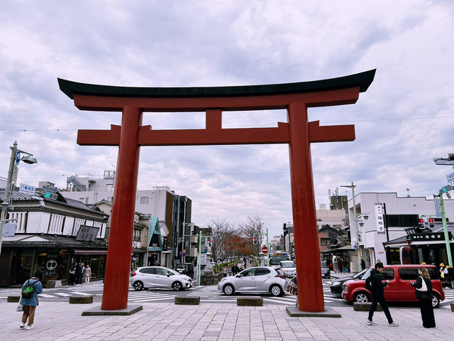 鶴岡八幡宮｜鎌倉最具代表性的神社散步路線 ⛩️🍁