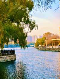 赴一場萬柳塘公園的秋日之約