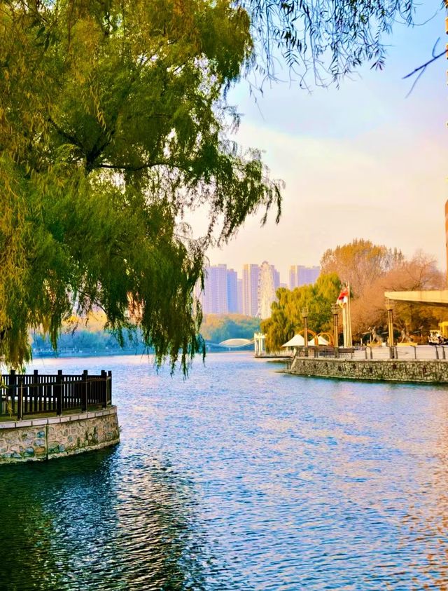 赴一場萬柳塘公園的秋日之約