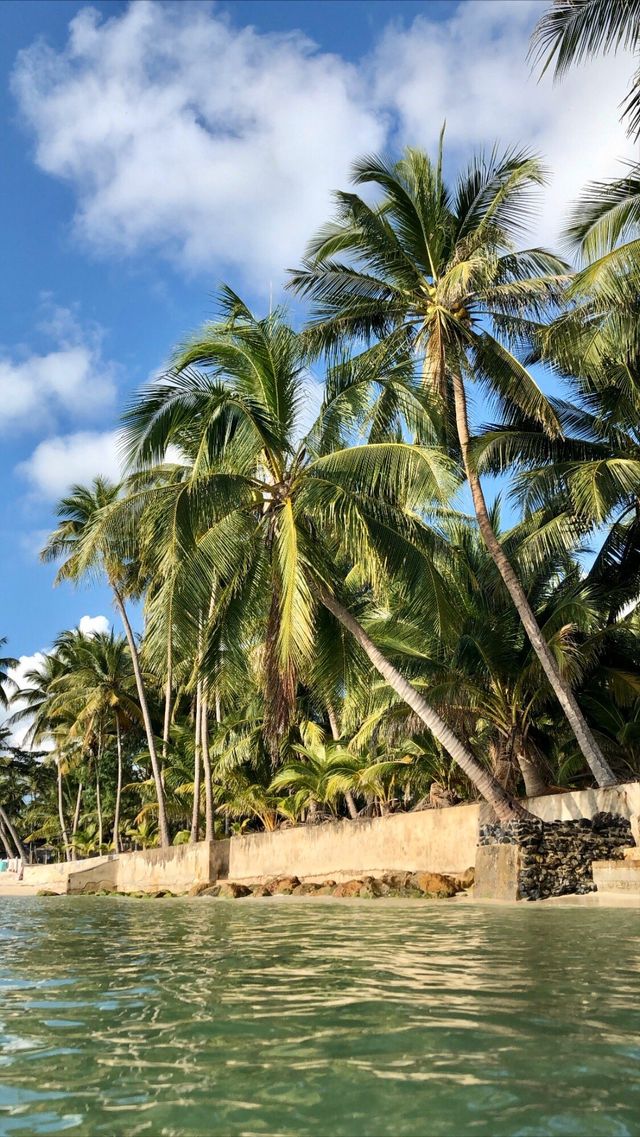 泰國塔林| Sibaja Palms返璞歸真之旅   酒店：Sibaja Palms Sunset