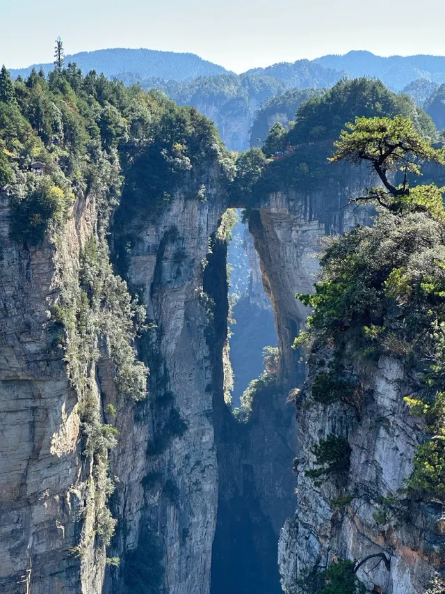 張家界森林公園+大峽谷+千古情攻略 張家界森林公園+大峽谷+千古情攻略