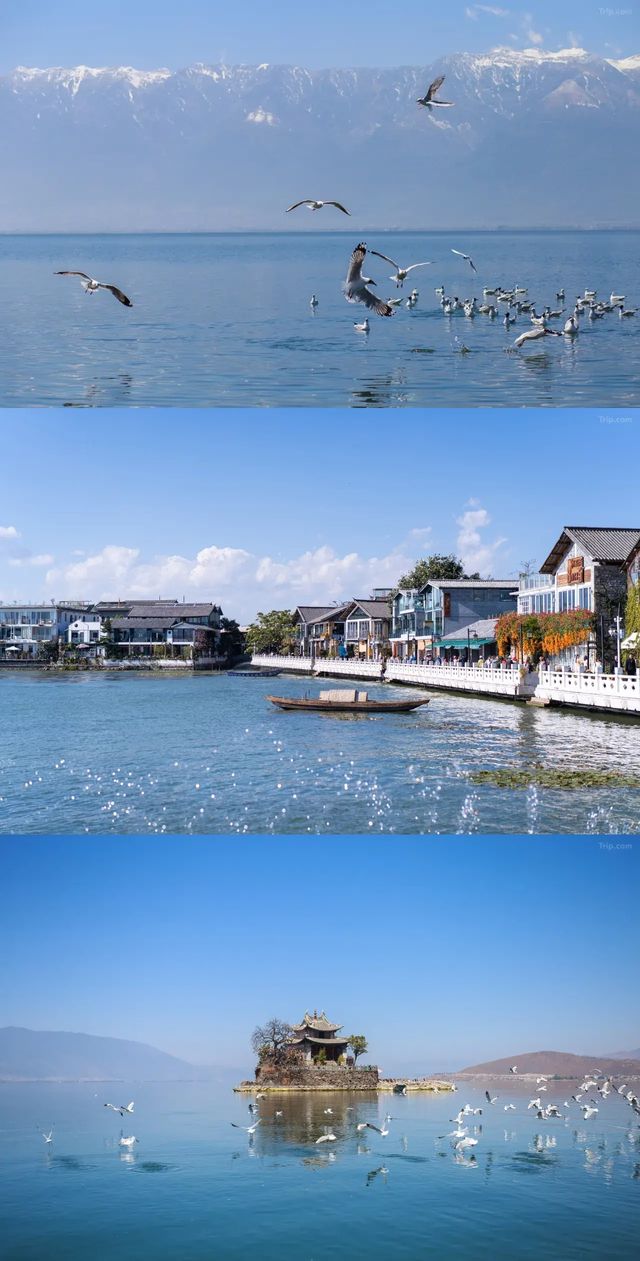 大理私藏!在洱海風中蕩秋千時,海鷗真的落在我肩上 大理私藏!在洱海風中蕩秋千時,海鷗真的落在我肩上