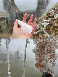 莽山的首場雪霧凇，承包南方人的限定浪漫