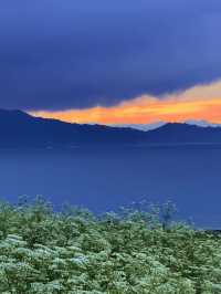 秋日限定阿勒泰地區等地美到失語快衝