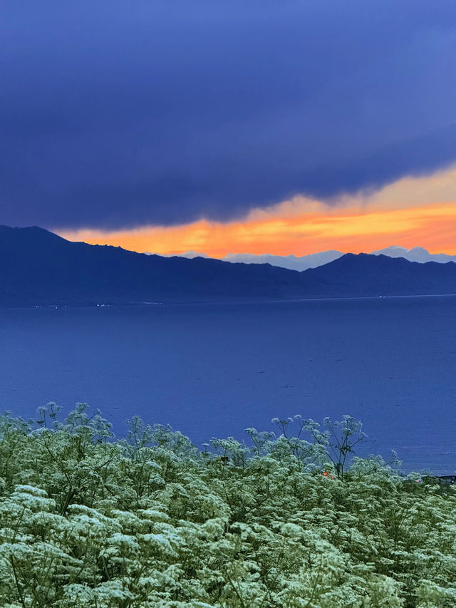秋日限定阿勒泰地區等地美到失語快衝