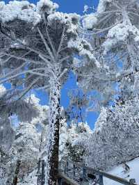 冬日昆明必打卡