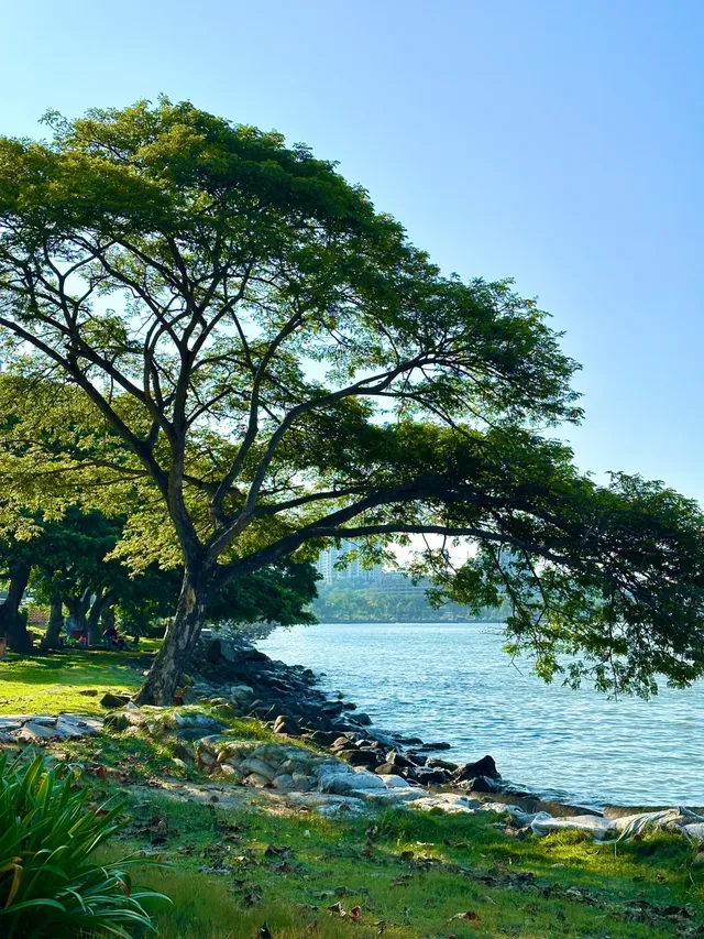 亞庇→仙本那免簽之旅 亞庇→仙本那免簽之旅