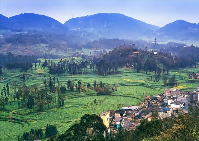 《國家地理》沒騙我羅平螺絲田真的和宣傳圖一樣美!冬春限定 《國家地理》沒騙我羅平螺絲田真的和宣傳圖一樣美!冬春限定