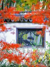 隱秘在魔都的秋日秘境！古漪園賞秋yyds