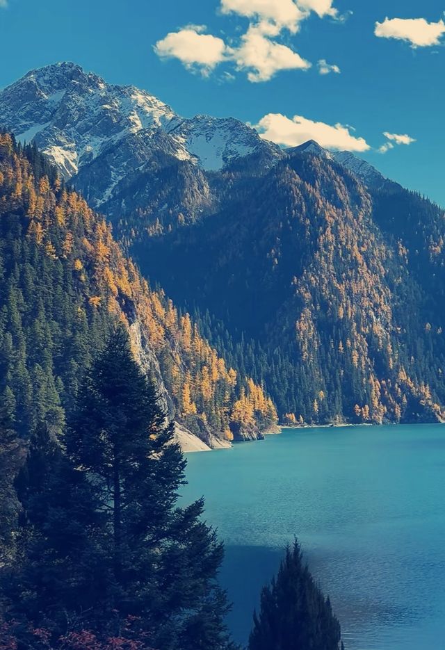 秋日童話九寨溝