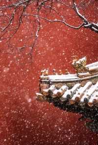 雪落京城，赴一場古今交織的冬日盛宴