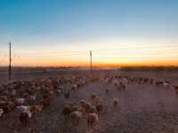 冬天必衝巴音郭楞等地美景等你探