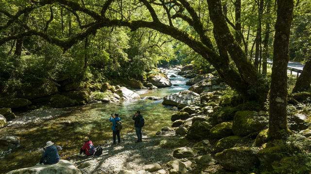四川·廣元-川北私藏！武則天故里