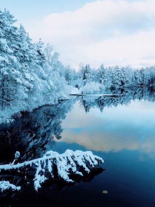 คู่มือการท่องเที่ยวเทพนิยายฤดูหนาว | สัมผัสความโรแมนติกในยุคกลางของทะเลบอลติกในเอสโตเนีย