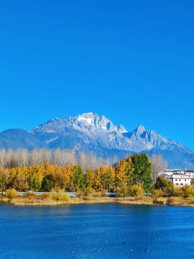麗江私藏神仙咖啡館|美到承包了我的九宮格 麗江私藏神仙咖啡館|美到承包了我的九宮格