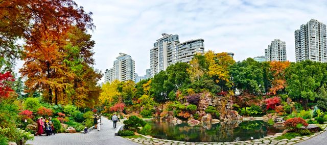 上海小京都這片楓葉階梯美到窒息!人少速來! 上海小京都這片楓葉階梯美到窒息!人少速來!