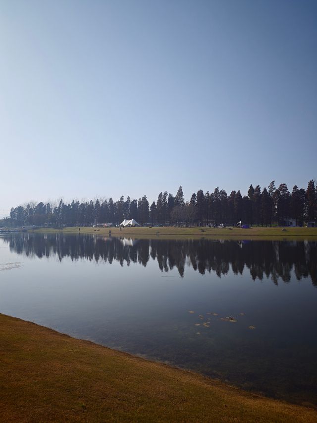 太湖綠地公園 太湖綠地公園