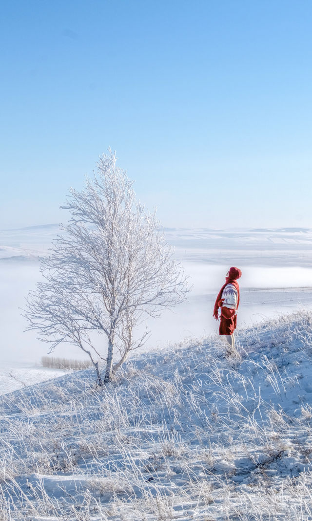 以為夏天的呼倫貝爾夠美了沒想到冬季依舊封神 以為夏天的呼倫貝爾夠美了沒想到冬季依舊封神