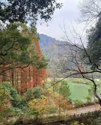 楓葉紅了必打卡地標