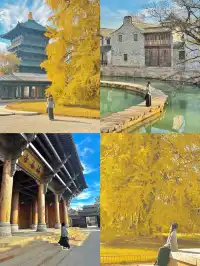 濮院雙年展|古鎮裡的全球首飾盛宴