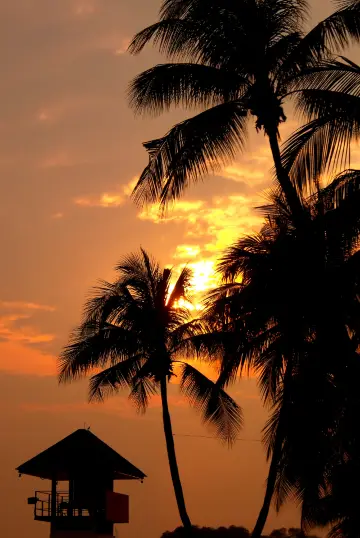 刚刚由新加坡返嚟，我整理咗一份玩樂攻略~