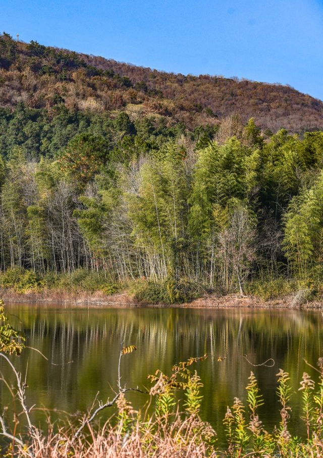 南京這個低調的度假天堂週末避開人潮就衝這 南京這個低調的度假天堂週末避開人潮就衝這