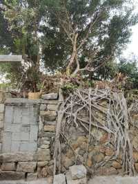 5天玩轉泉州等地超全攻略建議收藏