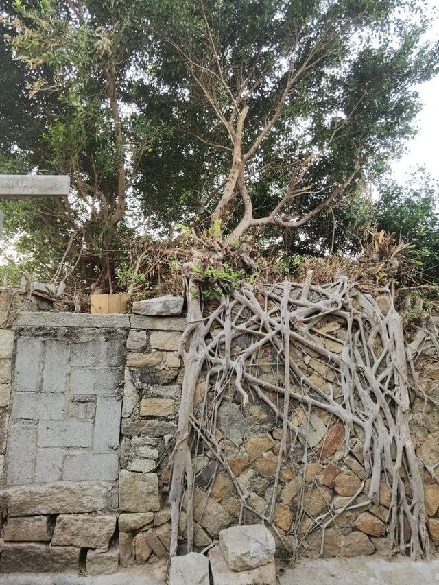 5天玩轉泉州等地超全攻略建議收藏