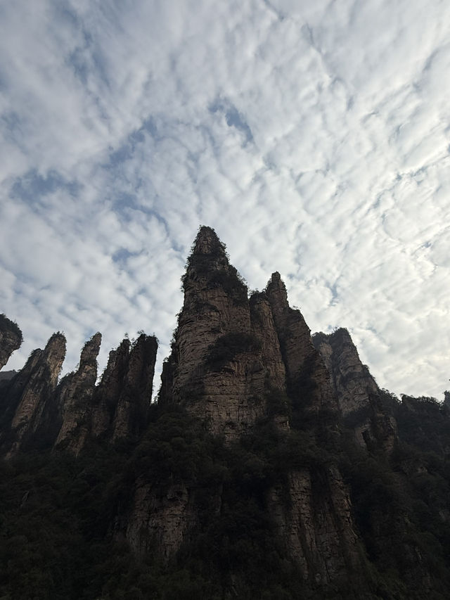 張家界 / 武陵源 張家界 / 武陵源