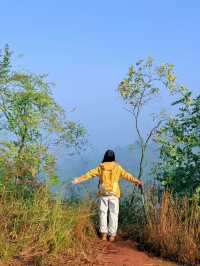 成都0.5h公交直達的秋日橘林徒步路線~#秋季去爬山南門