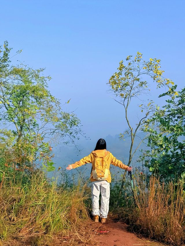 成都0.5h公交直達的秋日橘林徒步路線~#秋季去爬山南門 成都0.5h公交直達的秋日橘林徒步路線~#秋季去爬山南門