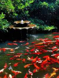 上海隱世古寺|700年真如寺,藏著都市裡的慢時光