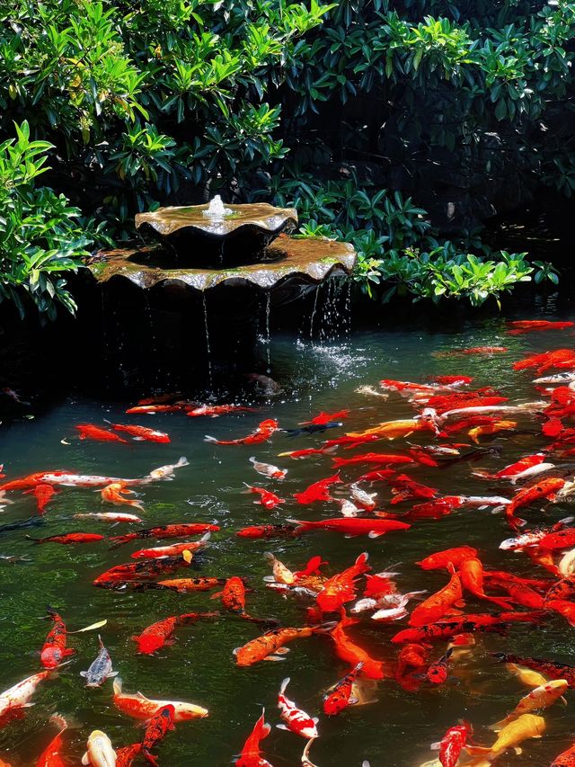 上海隱世古寺|700年真如寺,藏著都市裡的慢時光 上海隱世古寺|700年真如寺,藏著都市裡的慢時光
