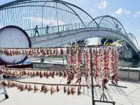 記錄【惠東•巽寮灣】11.29晴