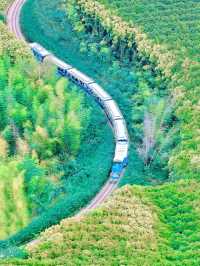 江蘇！宜興隱世古鎮神仙打卡地