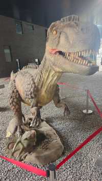 保定必看人文展館推薦