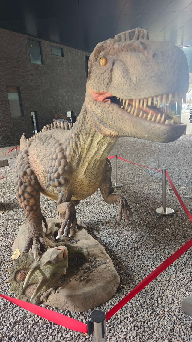 保定必看人文展館推薦 保定必看人文展館推薦