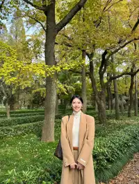 終於等到了12月的南京